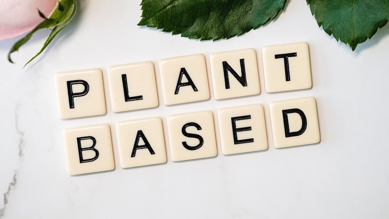 Plant-Based Delights