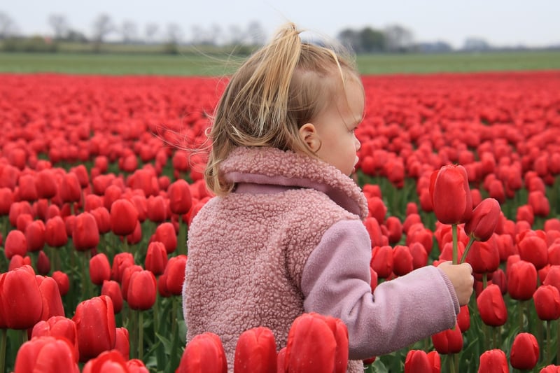 Netherlands